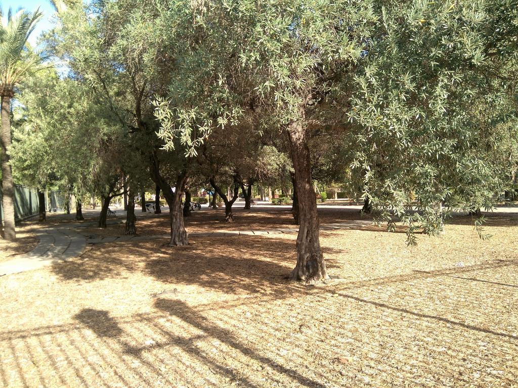 סביליה Apartamento Buhaira מראה חיצוני תמונה