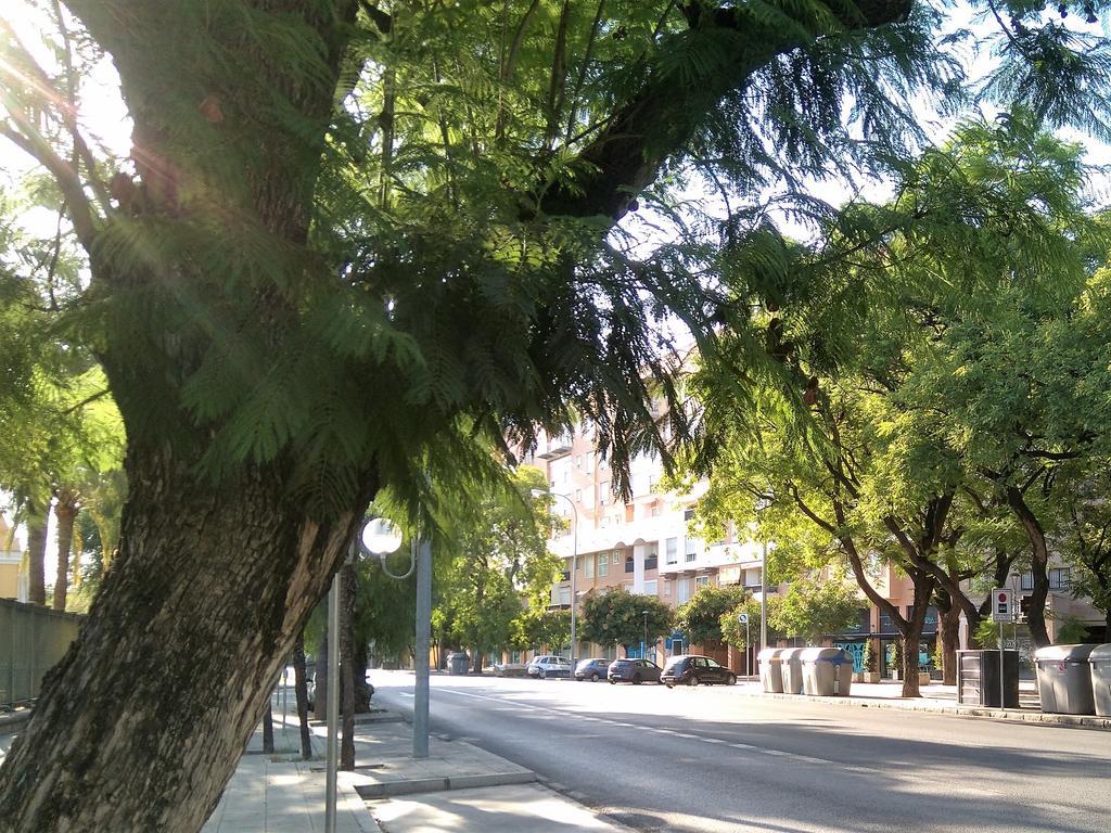 סביליה Apartamento Buhaira מראה חיצוני תמונה